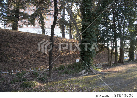 群馬県庁に残る前橋城本丸土塁 88948000