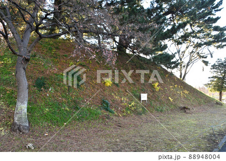 群馬県庁に残る前橋城本丸土塁 群馬県庁に残る前橋城本丸土塁 88948004