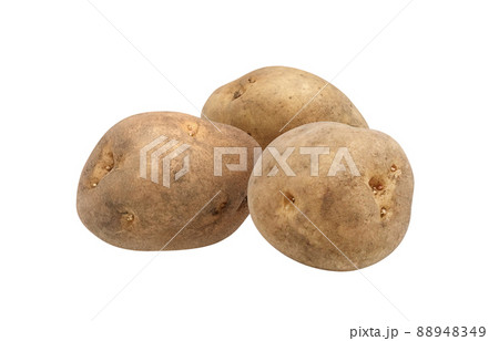 じゃがいも ジャガイモ イラスト リアル セットのイラスト素材 8449