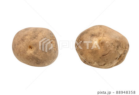 じゃがいも ジャガイモ イラスト リアル 単体 じゃがいも ジャガイモ イラスト リアル 単体 88948358