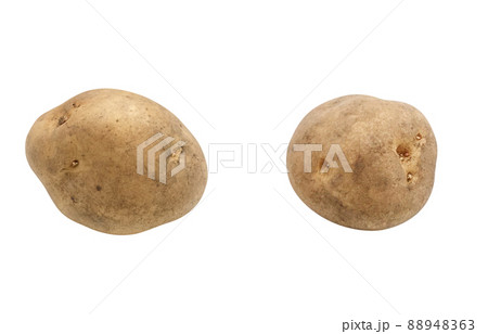 じゃがいも ジャガイモ イラスト リアル 単体のイラスト素材 8463