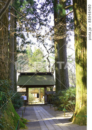 長野県光前寺 長野県光前寺 88948480