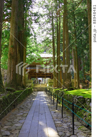 長野県光前寺 長野県光前寺 88948481