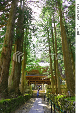 長野県光前寺 88948493
