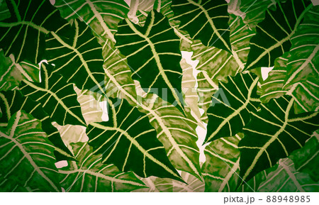 fresh green tropical leaves spring nature  watercolor paint  design background 88948985