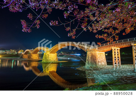 山口県の観光地錦帯橋に夜のライトアップが春のサクラと映し出される 88950028