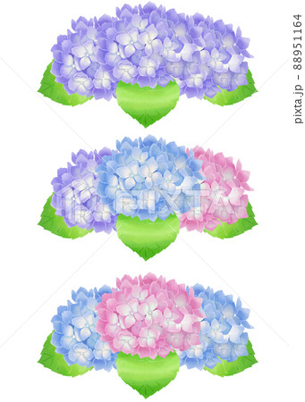 紫陽花を水彩タッチで描いた素材セットのイラスト素材 [88951164] - PIXTA