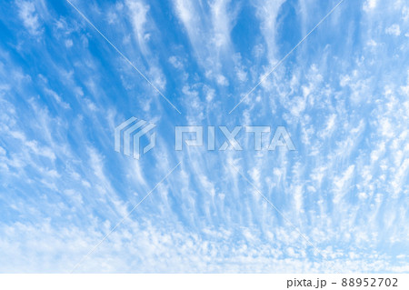 青い空・白い雲 青い空・白い雲 88952702