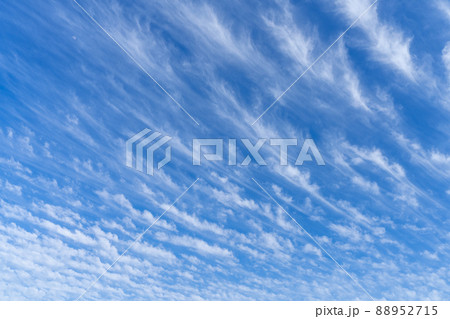 青い空・白い雲 88952715