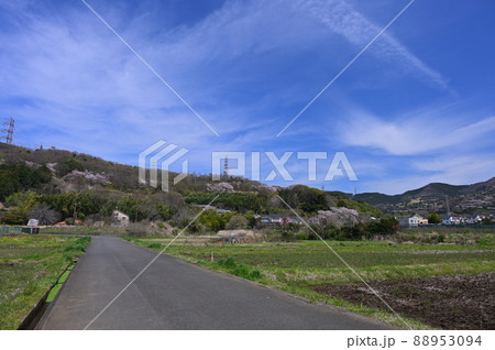 東田原の里風景《秦野市》 88953094