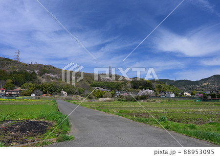 東田原の里風景《秦野市》 88953095