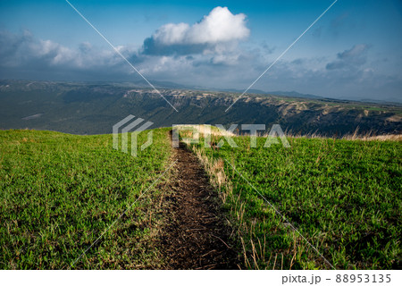 阿蘇の風景(大観峰) 阿蘇の風景(大観峰) 88953135