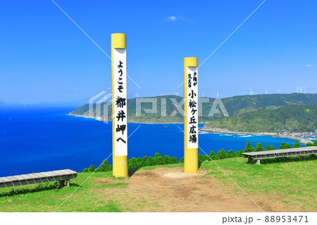 【宮崎県】快晴下の都井岬 88953471