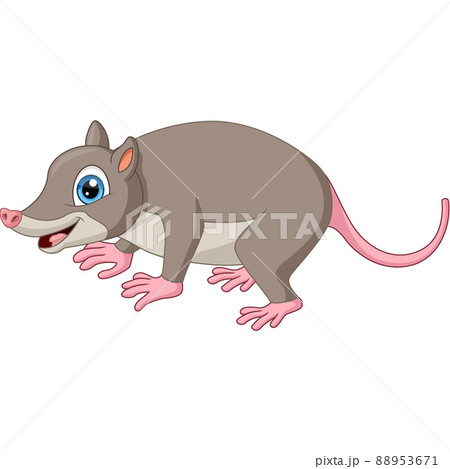 Cute opossum cartoon on white background Cute opossum cartoon on white background 88953671
