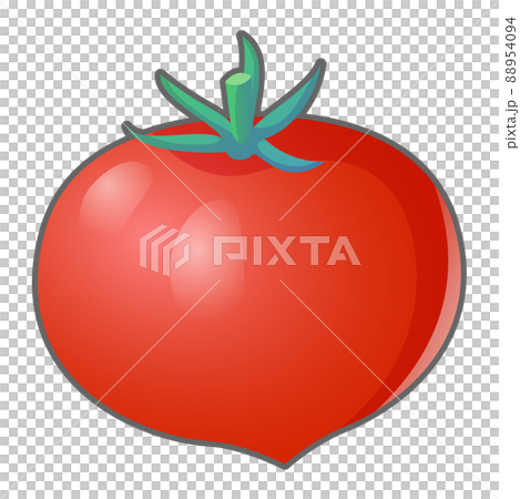 新鮮成熟西紅柿的插圖 新鮮成熟西紅柿的插圖 88954094