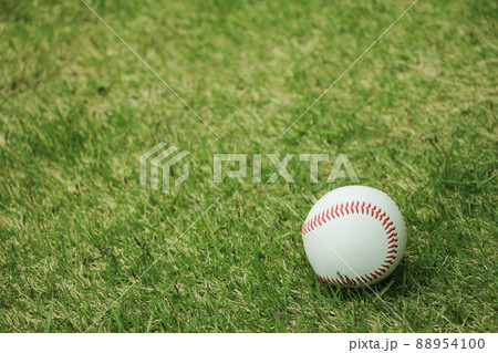 野球ボール 88954100