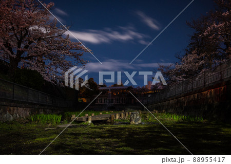 《京都府 京都市》蹴上インクラインの夜桜 《京都府 京都市》蹴上インクラインの夜桜 88955417