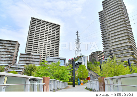 南大沢であい橋からの眺め(東京都八王子市)【2022.4】 南大沢であい橋からの眺め(東京都八王子市)【2022.4】 88955953