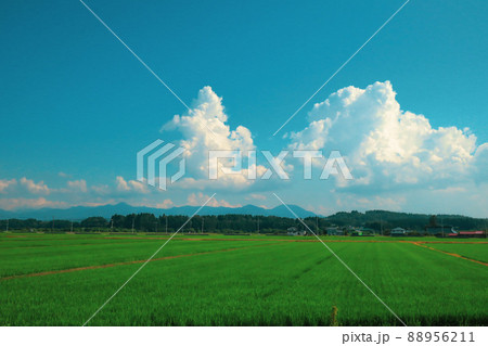 田舎の夏の空 田舎の夏の空 88956211