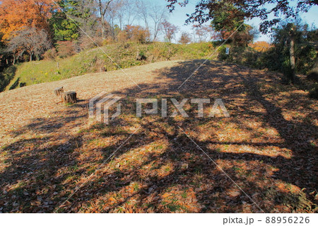 杉山城跡の井戸郭【埼玉県嵐山町】 杉山城跡の井戸郭【埼玉県嵐山町】 88956226
