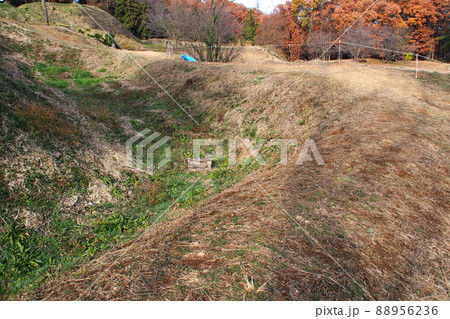 杉山城跡の外郭【埼玉県嵐山町】 杉山城跡の外郭【埼玉県嵐山町】 88956236
