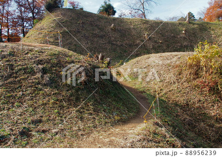 杉山城跡、外郭から見る堀切【埼玉県嵐山町】 88956239