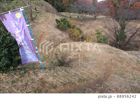 杉山城跡の馬出し郭【埼玉県嵐山町】 杉山城跡の馬出し郭【埼玉県嵐山町】 88956242