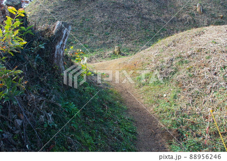 杉山城跡、外郭から二の郭・本郭に向かう通路【埼玉県嵐山町】 88956246