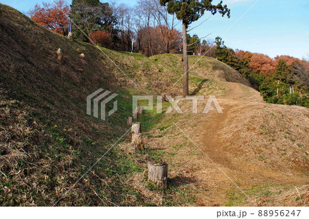 杉山城跡、本郭へ続く通路【埼玉県嵐山町】 杉山城跡、本郭へ続く通路【埼玉県嵐山町】 88956247