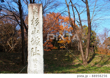 杉山城跡、本郭の石標【埼玉県嵐山町】 杉山城跡、本郭の石標【埼玉県嵐山町】 88956256