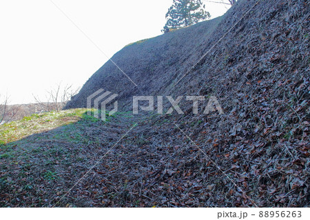 杉山城跡、本郭の切岸【埼玉県嵐山町】 88956263