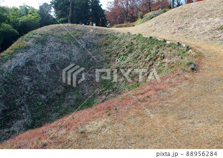 杉山城跡、大手口の通路【埼玉県嵐山町】 杉山城跡、大手口の通路【埼玉県嵐山町】 88956284