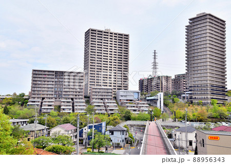 南大沢であい橋周辺の眺め(東京都八王子市)【2022.4】 南大沢であい橋周辺の眺め(東京都八王子市)【2022.4】 88956343