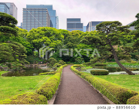 東京千代田区・皇居二の丸庭園 東京千代田区・皇居二の丸庭園 88956610