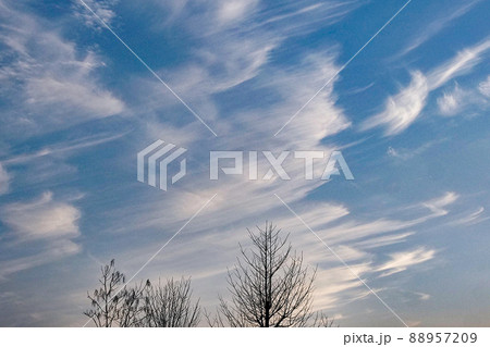写真、雲の写真，典型的なを引く釣り状雲を引く釣状雲 88957209