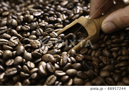 Hand scooping coffee beans using wooden spoon from a large pile of coffee beans 88957244