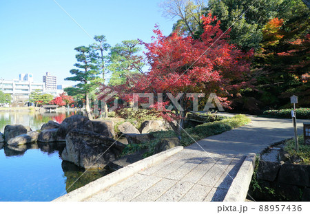紅葉がきれいな徳川園 紅葉がきれいな徳川園 88957436
