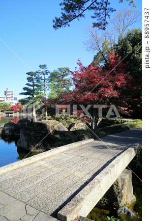 紅葉がきれいな徳川園 紅葉がきれいな徳川園 88957437