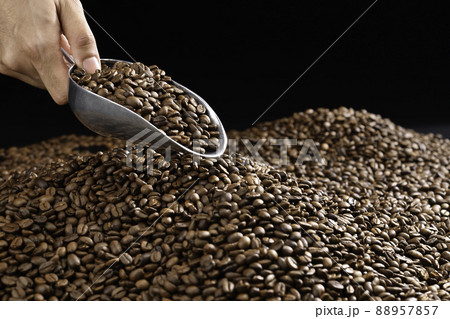 Hand holding a ladle scooping up roasted coffee beans Hand holding a ladle scooping up roasted coffee beans 88957857