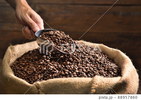 Hand holding a ladle scooping up roasted coffee beans from a pile of beans in burlap sack 88957860