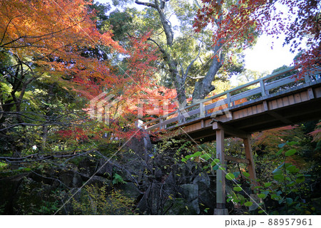 紅葉がきれいな徳川園 88957961