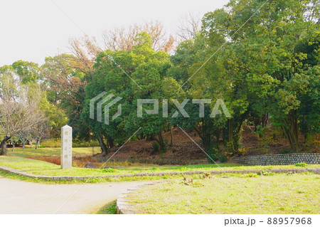 旗塚古墳(大阪府堺市/大仙公園内) 旗塚古墳(大阪府堺市/大仙公園内) 88957968