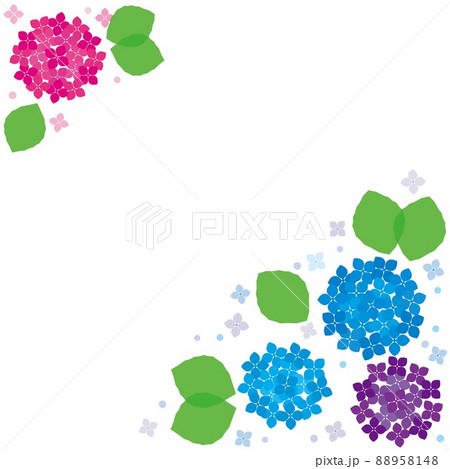 紫陽花 フレーム 白背景 紫陽花 フレーム 白背景 88958148