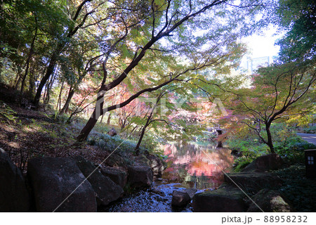 紅葉がきれいな徳川園 紅葉がきれいな徳川園 88958232