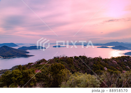 世界が認めた桜の名所　紫雲出山 88958570