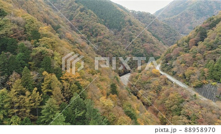 紅葉と山道 88958970