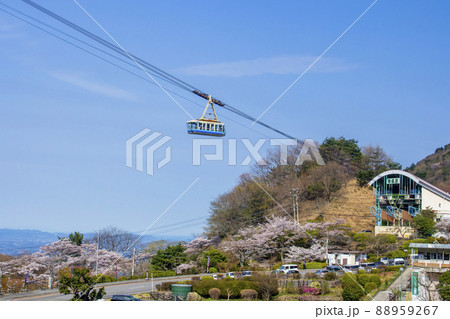 桜と別府ロープウェイ 桜と別府ロープウェイ 88959267