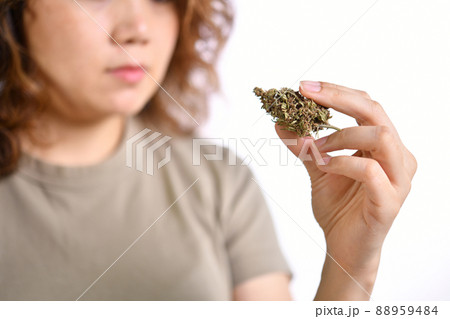 Woman holding medicinal cannabis flower with forceps doing research and inspection for recreational Woman holding medicinal cannabis flower with forceps doing research and inspection for recreational 88959484
