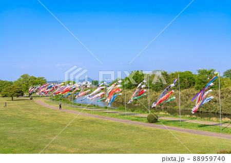 境川緑道公園、大空泳ぐこいのぼり〈岐阜県岐阜市〉 境川緑道公園、大空泳ぐこいのぼり〈岐阜県岐阜市〉 88959740