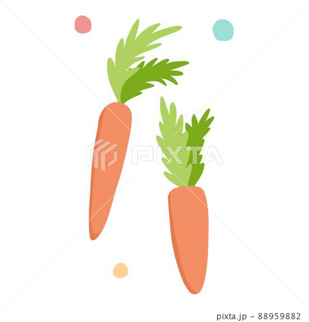 Reusable carrot vegetable in recycling plastic, zero waste and eco bottle and pack 88959882